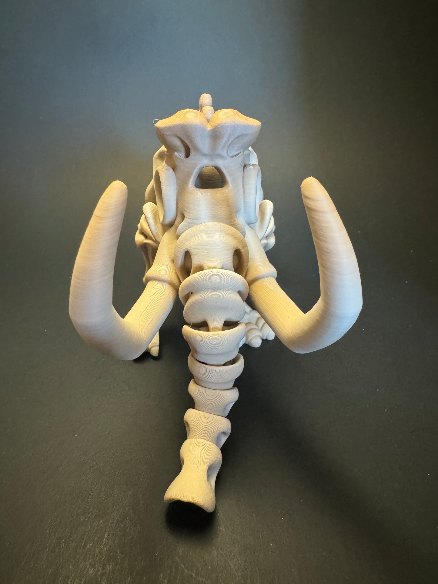 Merv the Mammoth - 3D Printed Sensory Fidget Toy